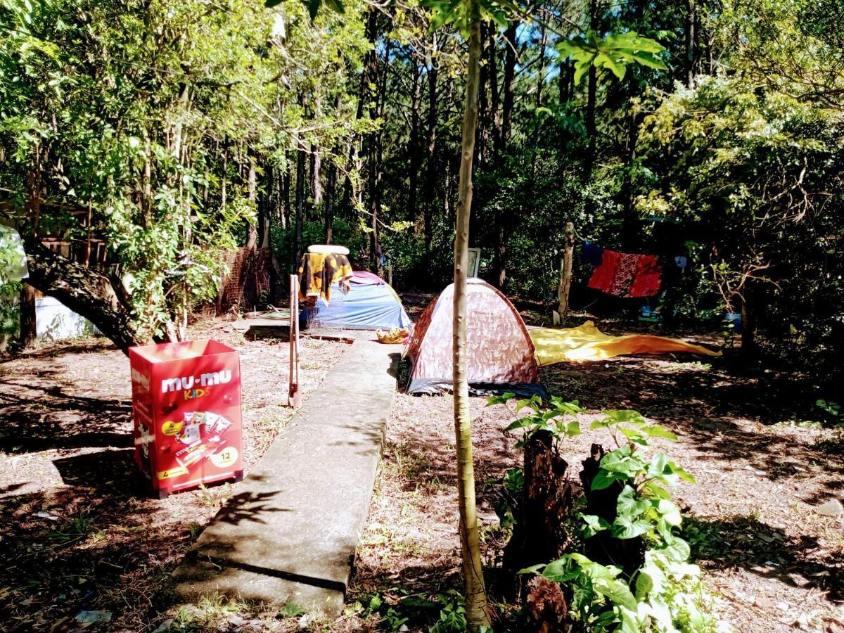 Camping Novas Palmeiras Florianópolis Exterior foto
